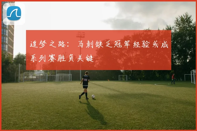 追梦之路：马刺缺乏冠军经验或成系列赛胜负关键