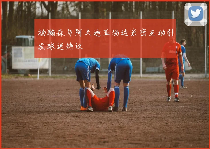 杨瀚森与阿夫迪亚场边亲密互动引发球迷热议